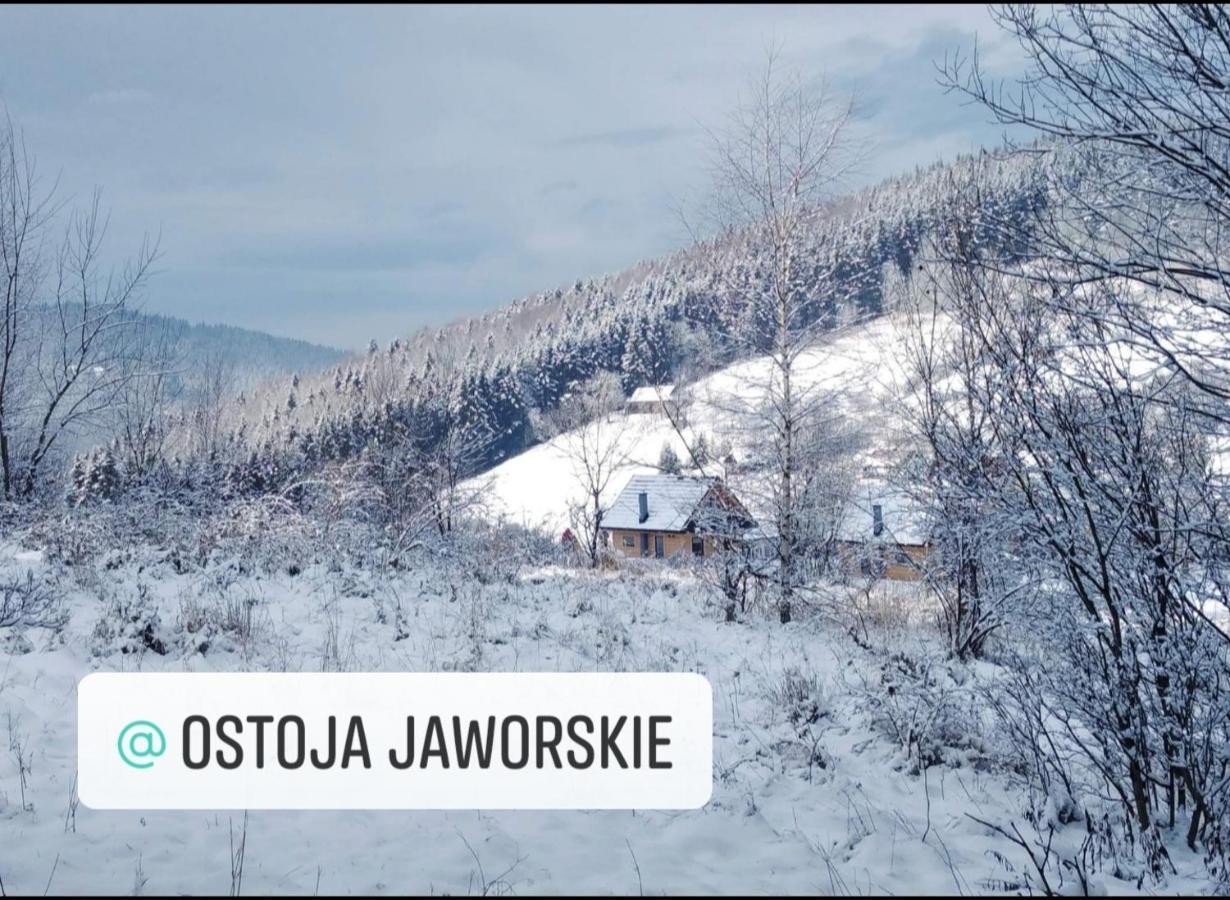 Ostoja Jaworskie Stryszawa Exteriér fotografie