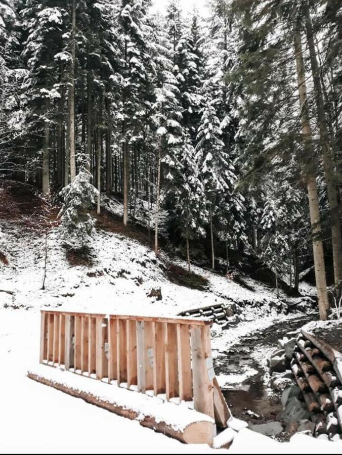 Ostoja Jaworskie Stryszawa Exteriér fotografie